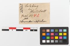 Etiketten zu Bernsteinschieber (NHMW-PRAE-023755)